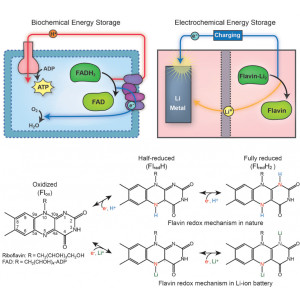 2013-05_Redox