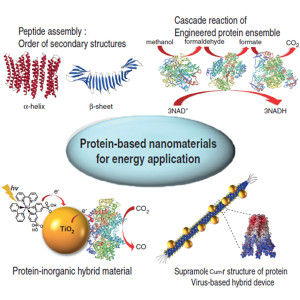 2013-10_Protein