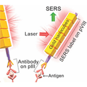 2014-10_Virus